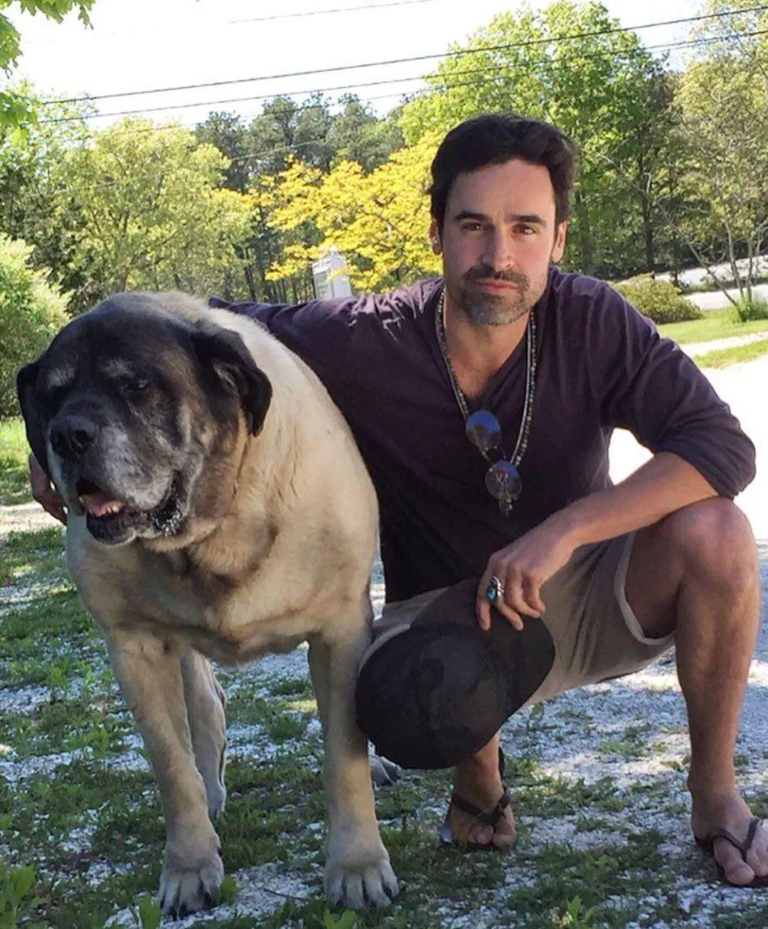 Jesse Bradford（杰西·布拉德福德）美国演员。他的事业始于5岁的童星