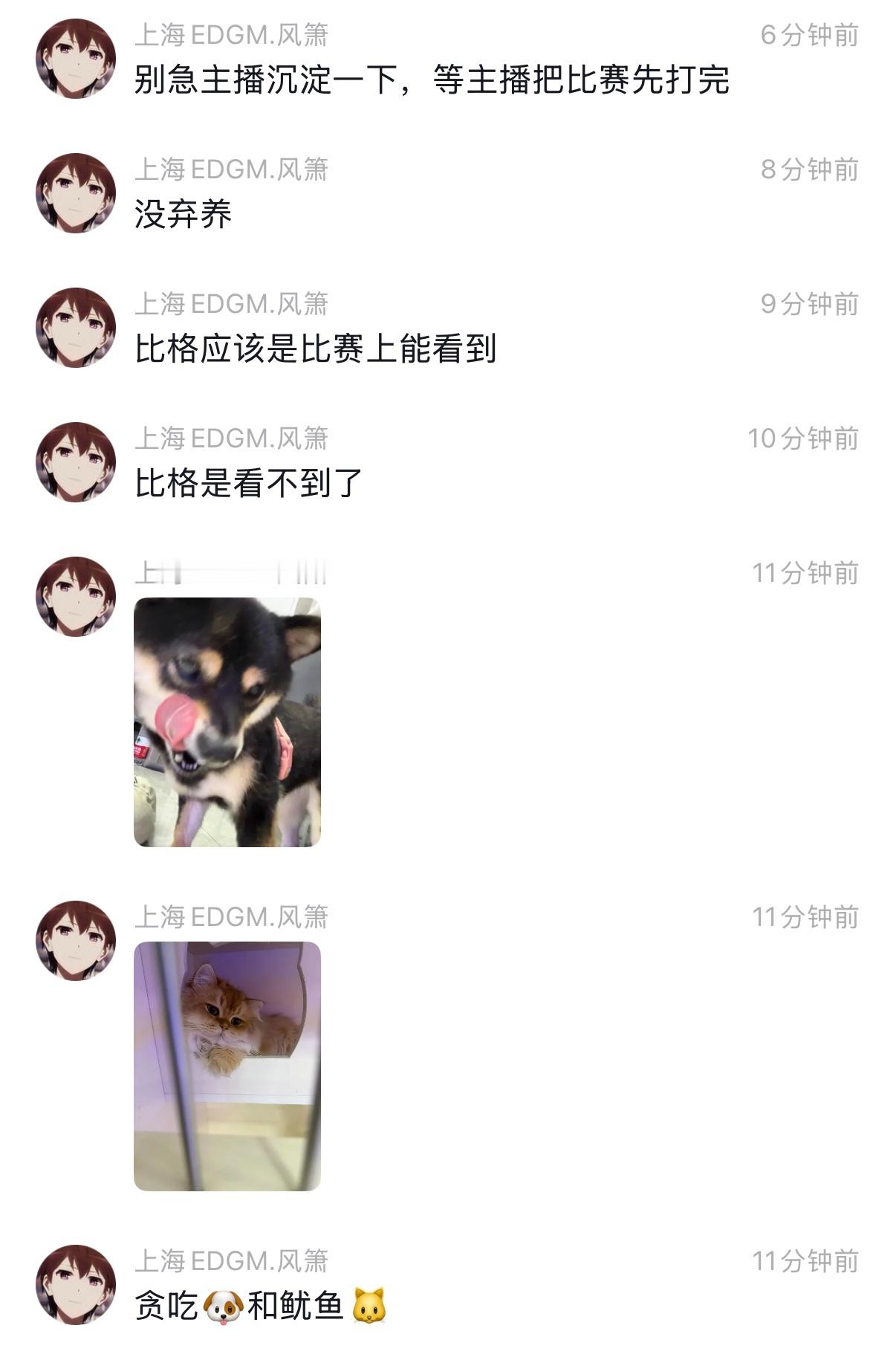 风箫箫飒飒  仅需3块就可以开通的泡泡🫧 