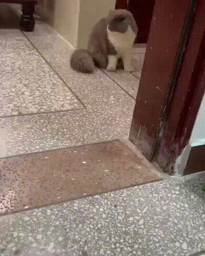 骇老子一跳……