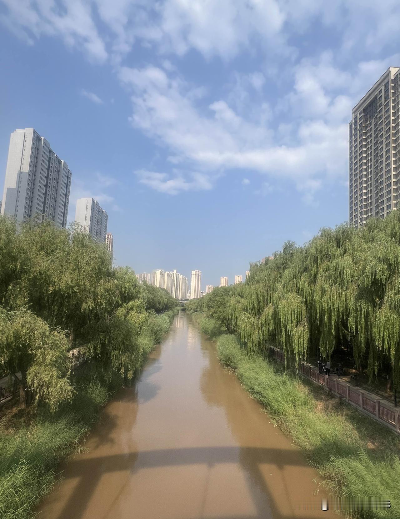 北方三伏天养生关键：中老年人避开两件事，安稳度过盛夏

北方三伏天，与南方潮湿闷