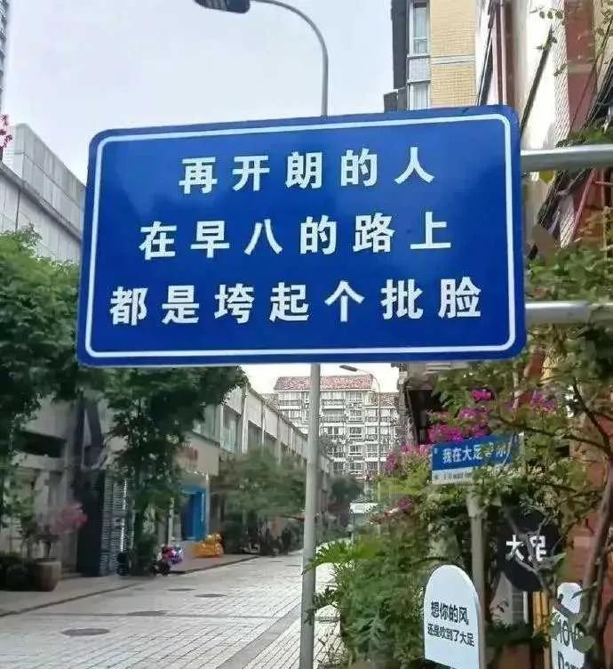 四川人，以其独特的生活方式和鲜明的地域性格，在中国的多元文化版图中独树一帜，有时