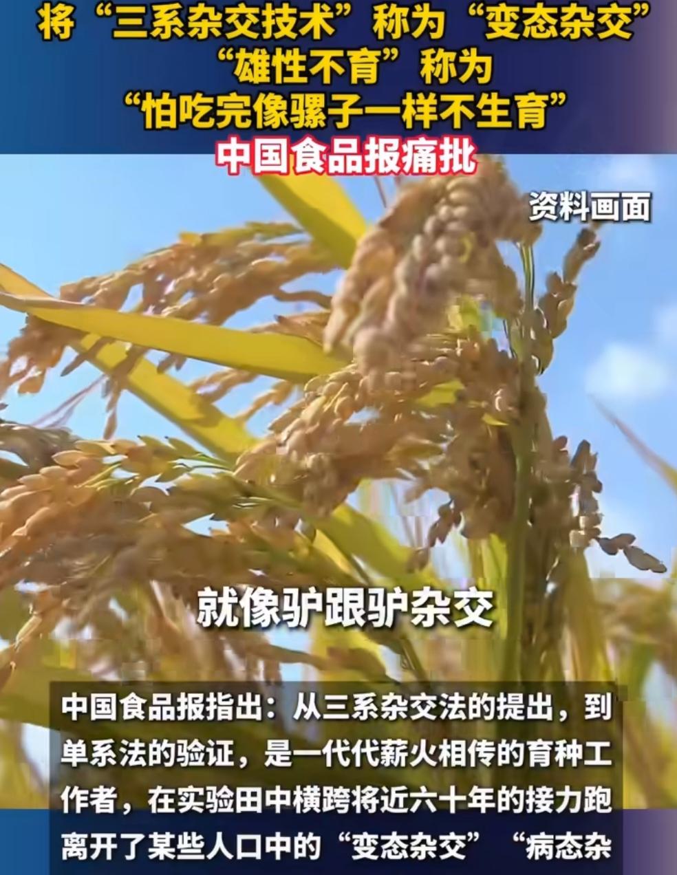 坐拥二百万粉丝的网红刻意曲解杂交育种原理，抹黑袁隆平院士科研心血，此番行径绝非观
