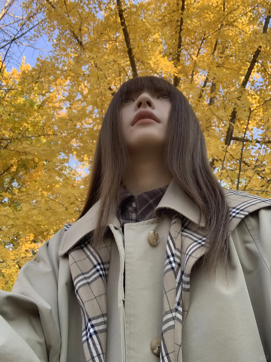 秋日来信🍁