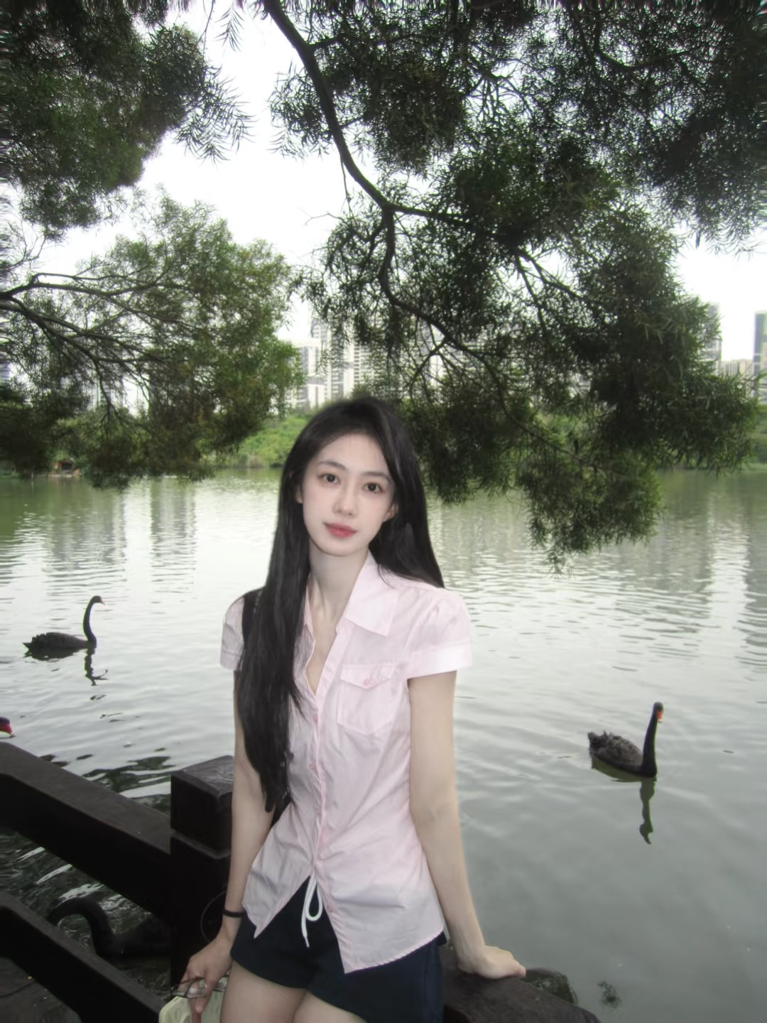 黑天鹅湖🦢