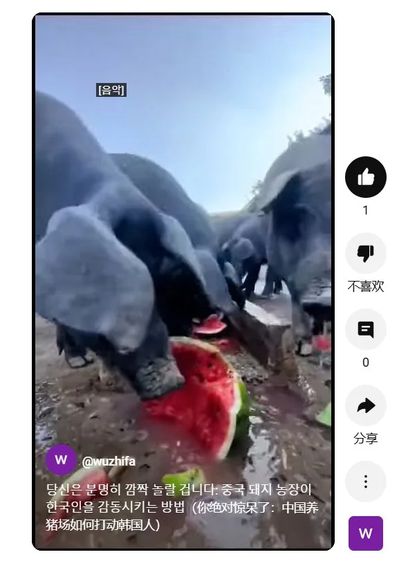 当你在韩国花10块人民币买一片西瓜 韩国人看了这张图不得破防啊 [偷笑]在自己国