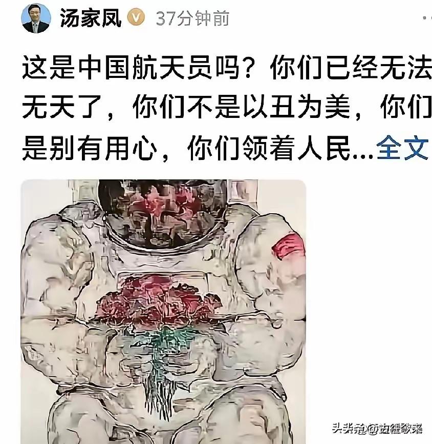 昨天下午，南京大学博士汤家凤发了一条头条，只有短短几行字："这是中国航天员吗？你