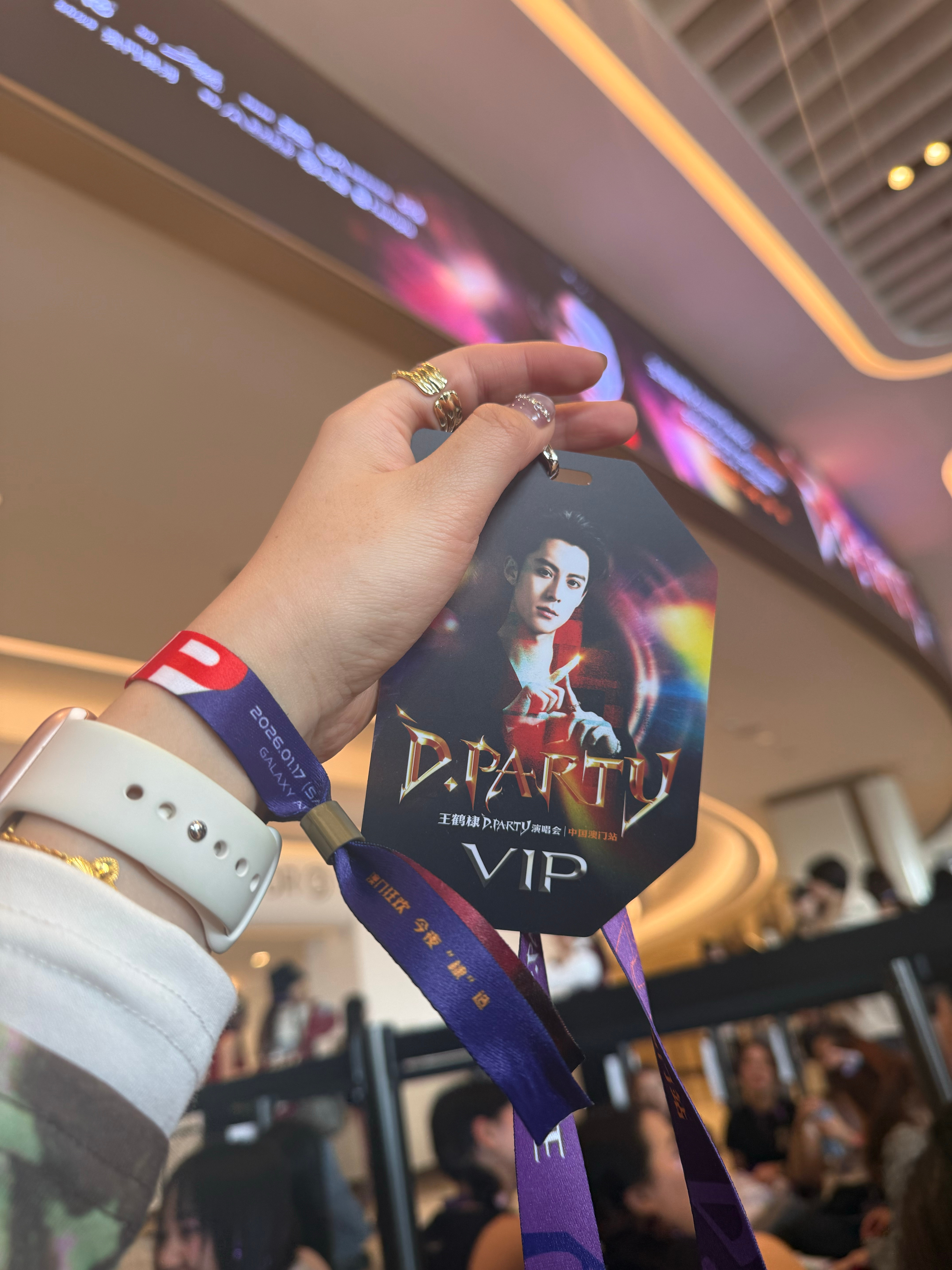 王鹤棣 进来了！！！！！燥候！！！！王鹤棣2026dparty演唱会 澳门·银河