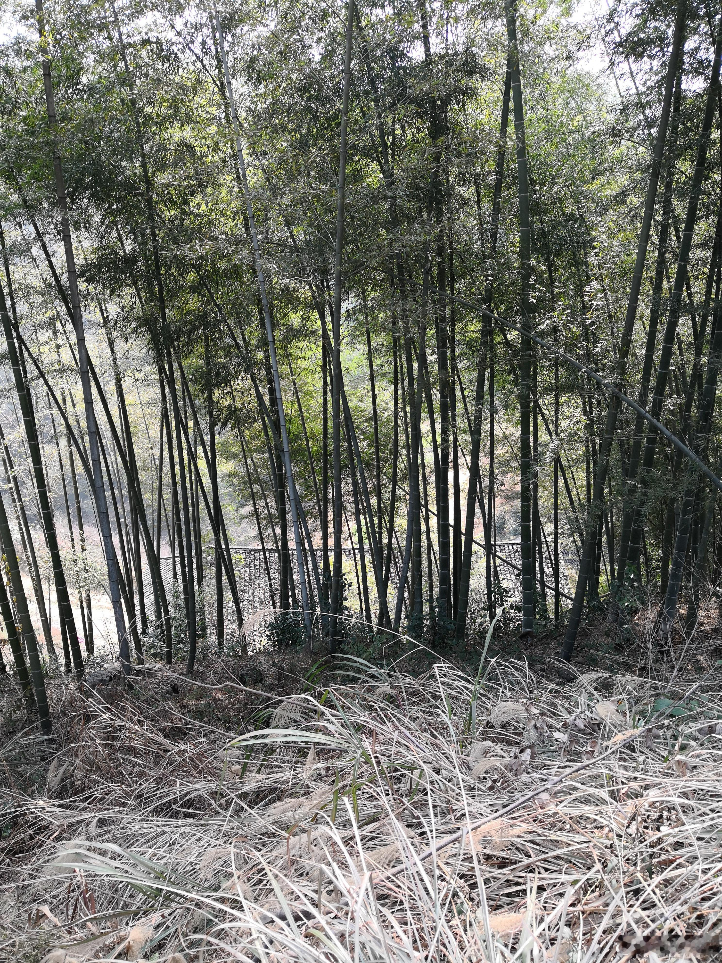 S-一句话，损失有点重。该休息了，明天还是不谈股票了，大家也不用等、不用刷了。解