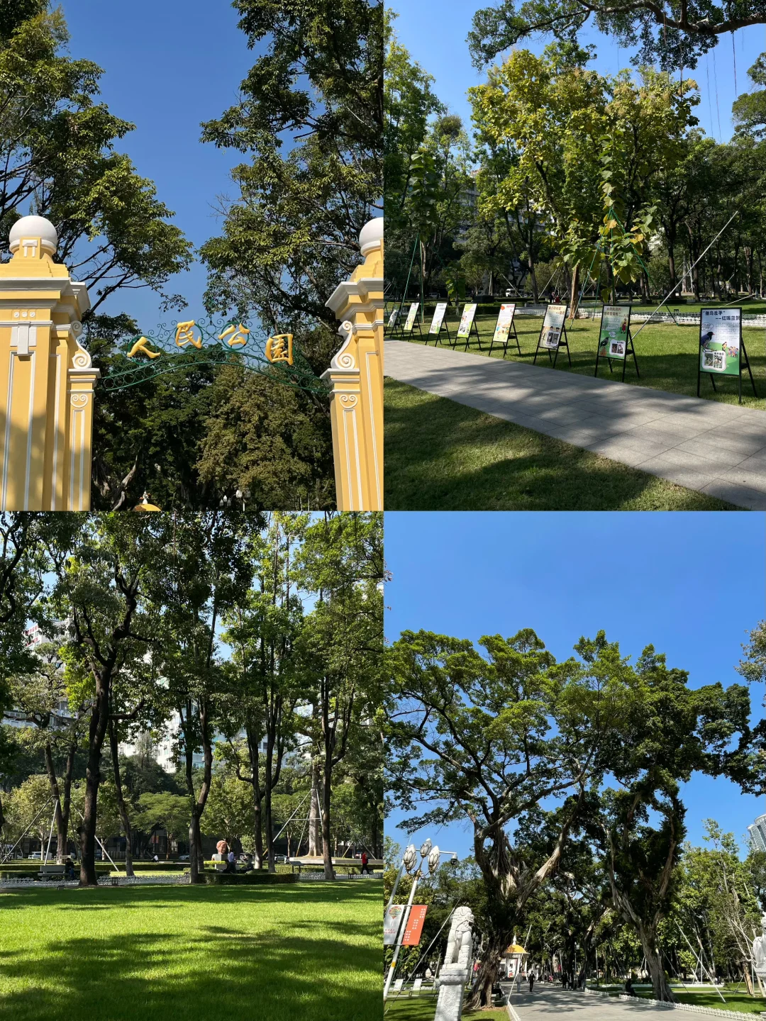 广州人民公园｜一个人周末放空吸氧好地方🌟