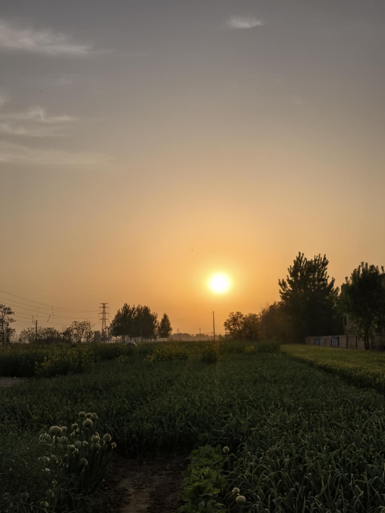 楼上有一个邻居，家里两个儿子，小儿子的孩子都上学了，大儿子还没谈对象，大儿子心有