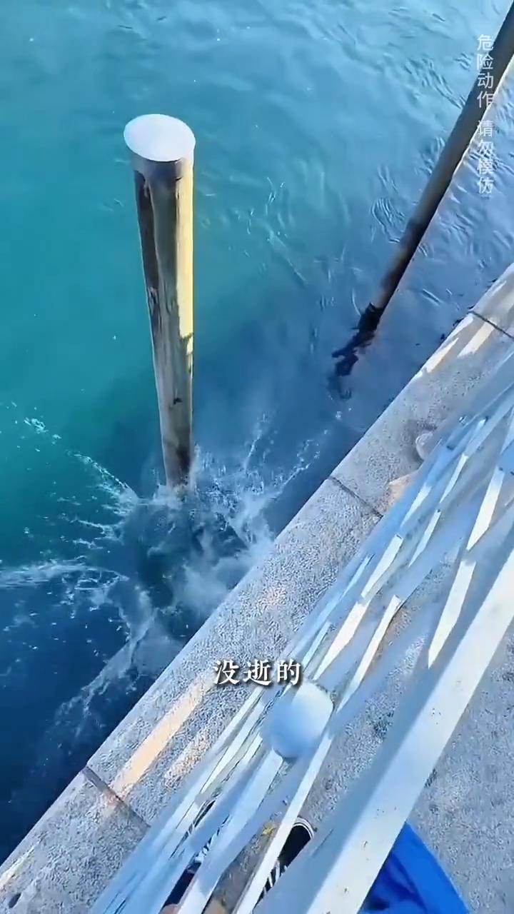 知道外国人为什么这么少吗？看完这个视频就知道了。
·系列1之跳水。没事的，继续接