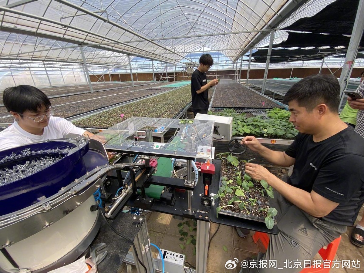 【机器人巡田、AI管地、大模型育种…农民丰收节亮点抢先看——】金秋鎏金季，京华待