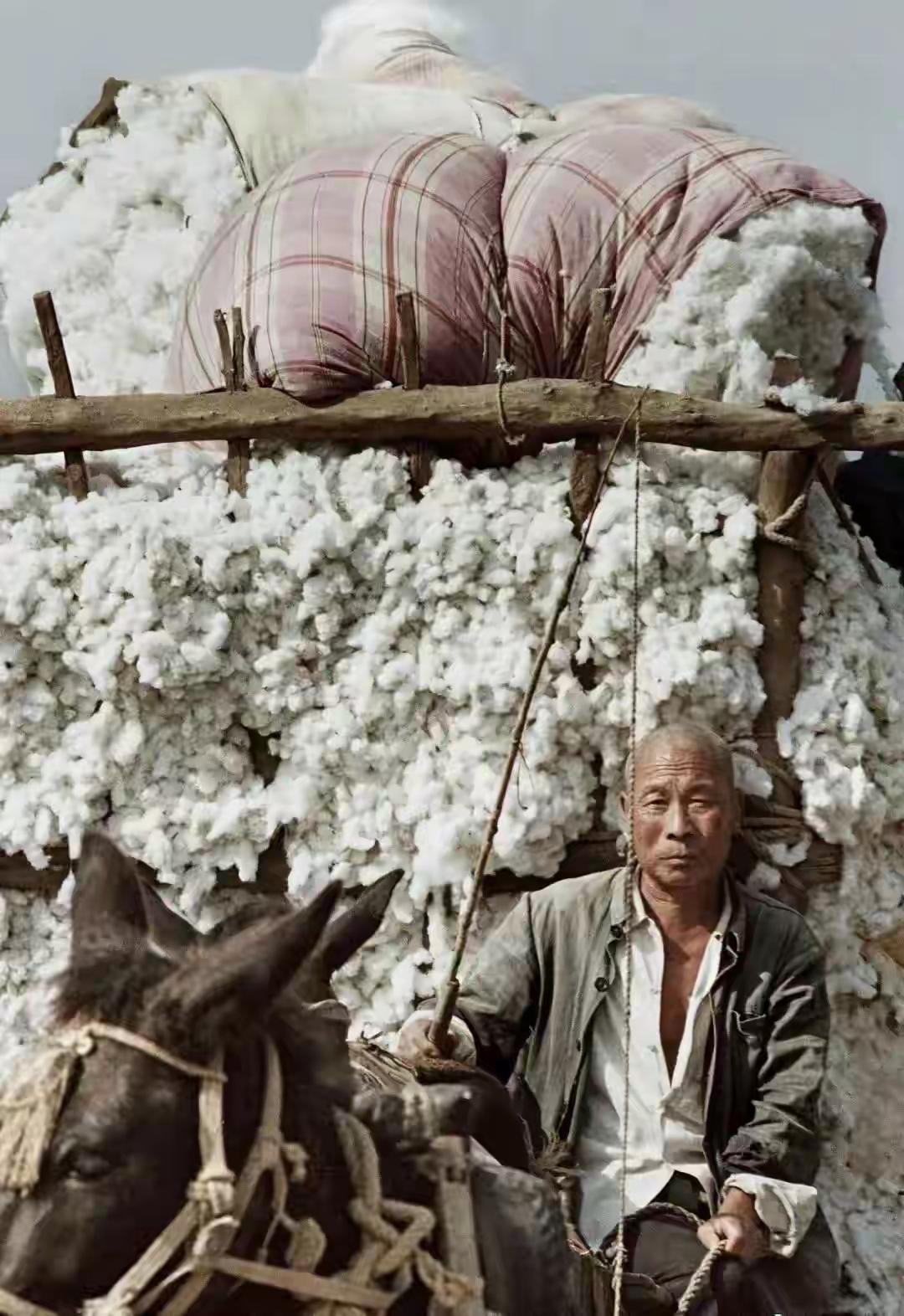 枕边人的选择，决定男人的后半生

男人的归宿与成就往往受诸多因素影响。很多时候，