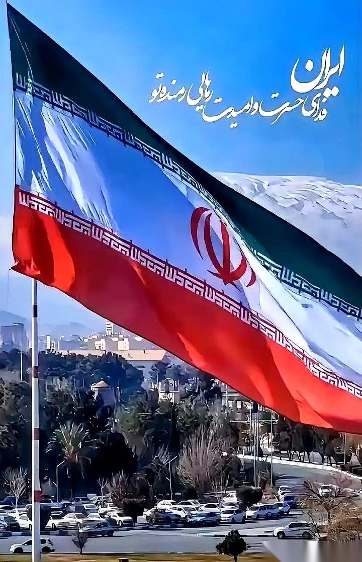 440公斤，60%的丰度。这个数字死死压在谈判桌上，让在场所有人的呼吸都重了几分