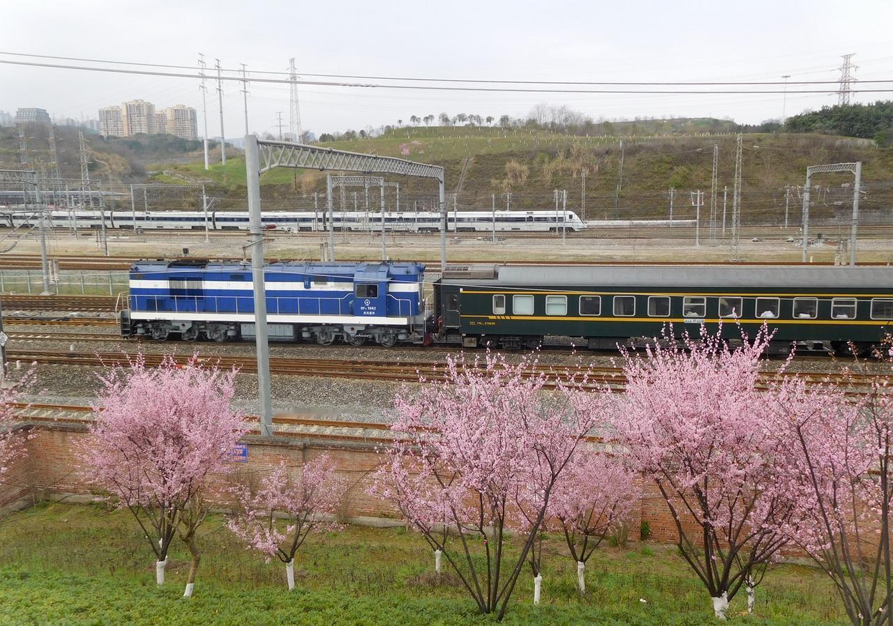 重庆北站附近木桃路社区公园的花开了，在这里赏花的同时也能看进出重庆北站的列车，图