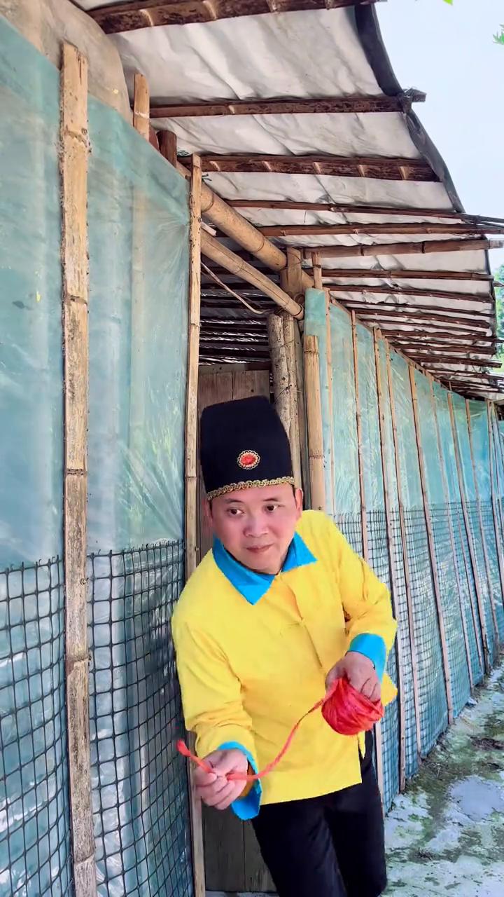 仍错地方了，怎么跑这里来了？看看是啥玩意？这不是自己的小猫咪吗？