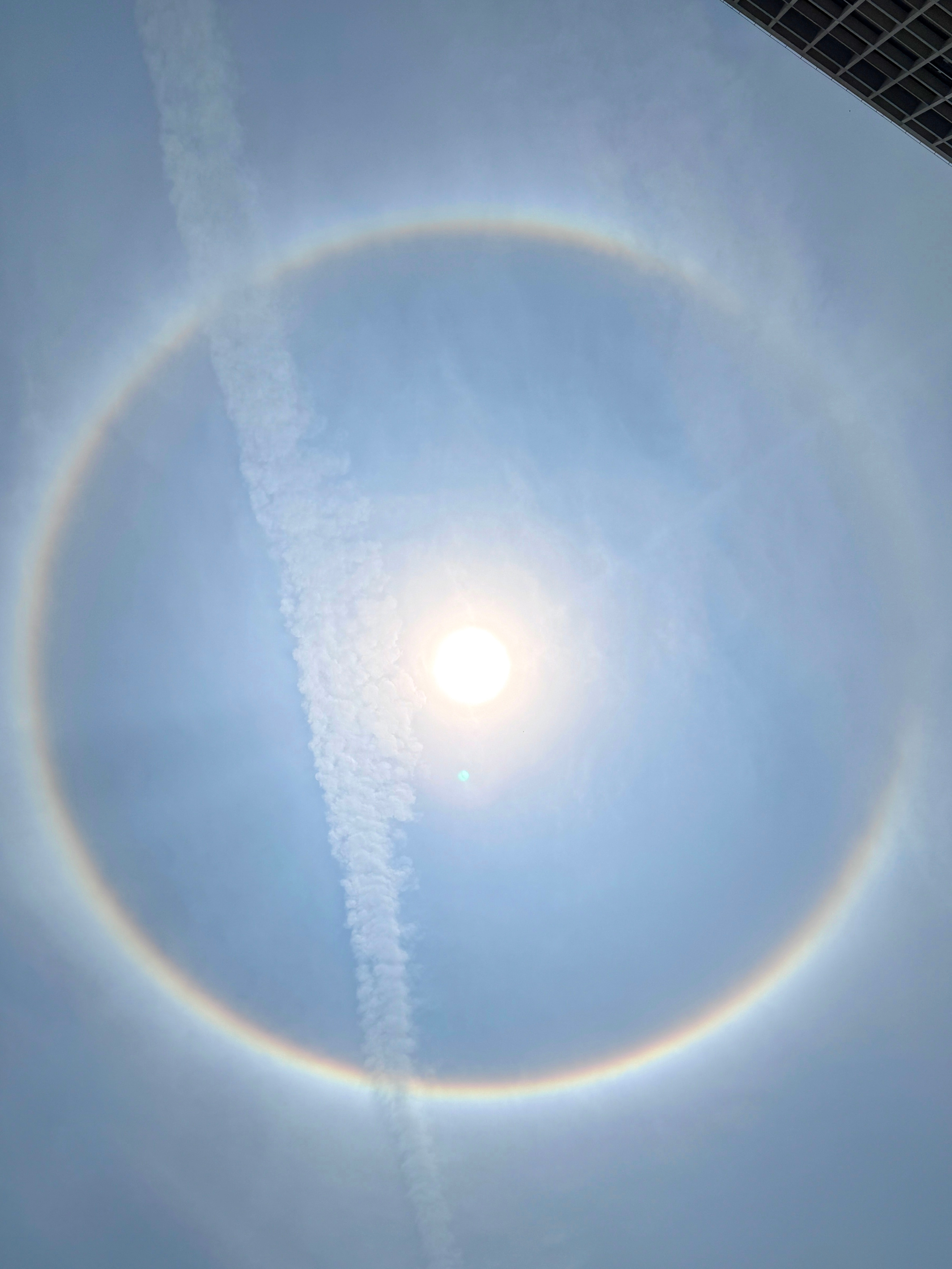 这素什么！！！[酷][酷][哇][哇]  ​​​