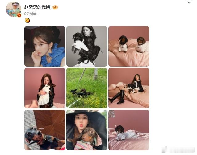 #赵露思晒doe和点点# ​​​#赵露思九宫格八张都是小狗# 赵露思的九宫格来了