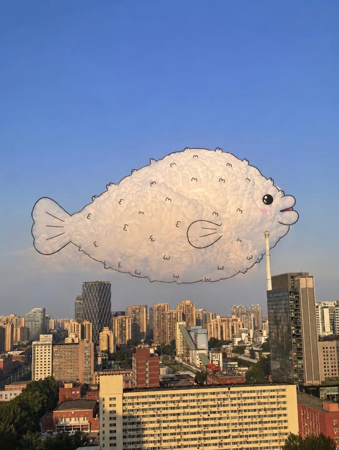 肥美的大胖云🐟 