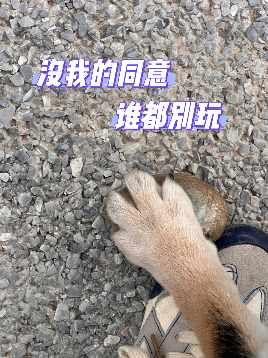 这个时候我就在反思