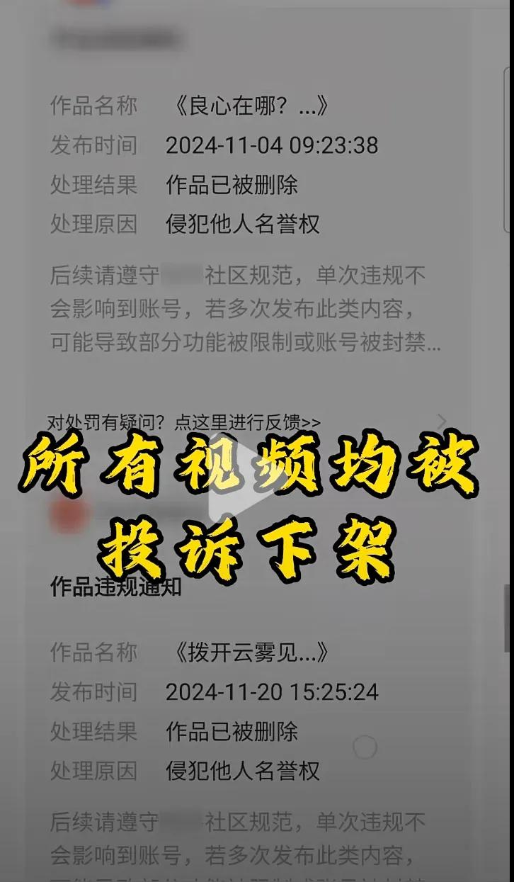 在良品铺子配料表事件发生之后，打假网红所发布的所有相关视频皆被投诉而下架，完全不