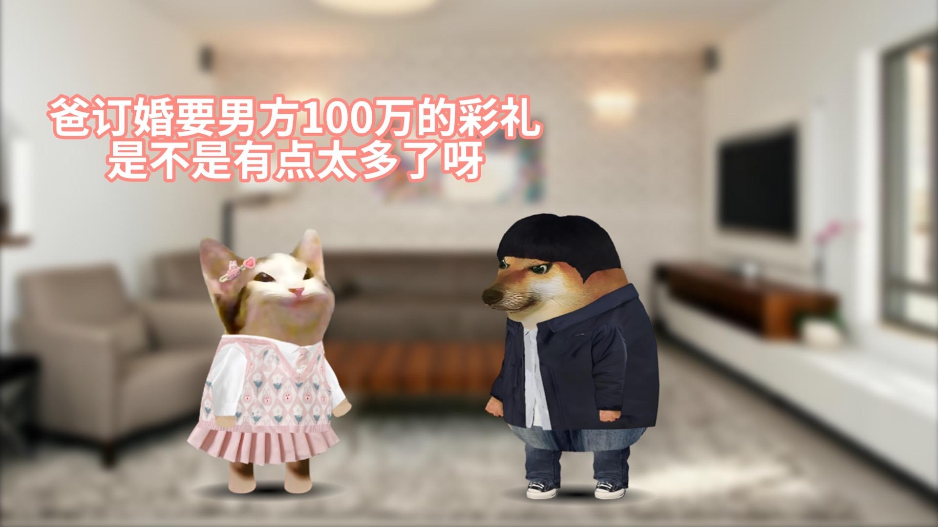 谁信我就卖它保险。