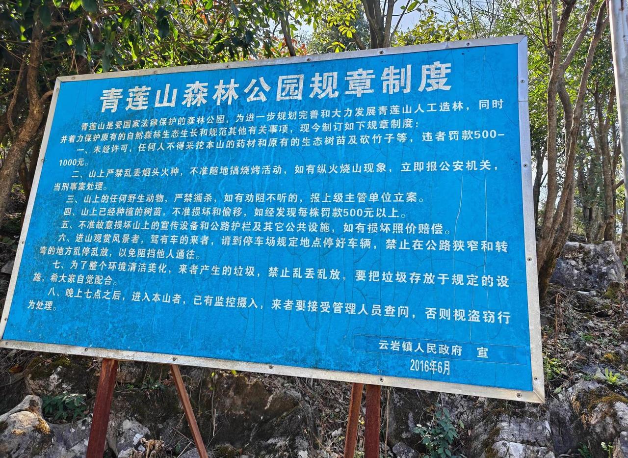 🌿 青莲山森林公园游玩必看！🌳 守护城市绿洲，文明游玩更开心！