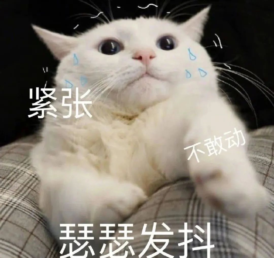 微信可爱表情包 更新不易，拿图点赞[心]更多表情包请看主页[心] ​​​