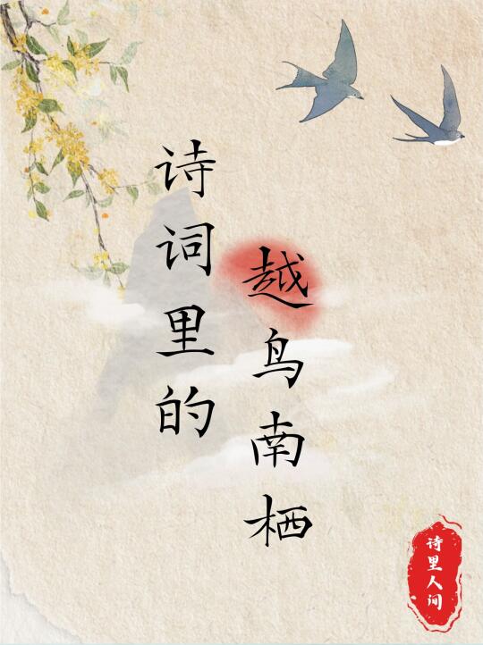 诗词里的越鸟南栖～