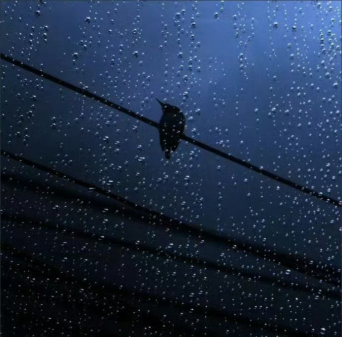 夜雨周梦蝶挟带一张古旧的小琴弦您又一次来造访了山中夜静您底跫音乃成为绝响多熟悉的