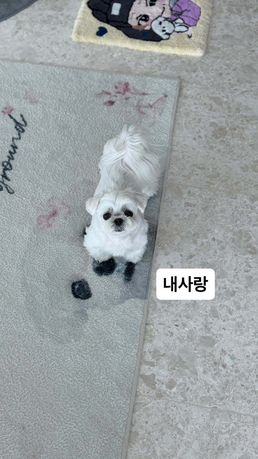 “CB百蓝_。260515利特 ins story更新：我的爱 