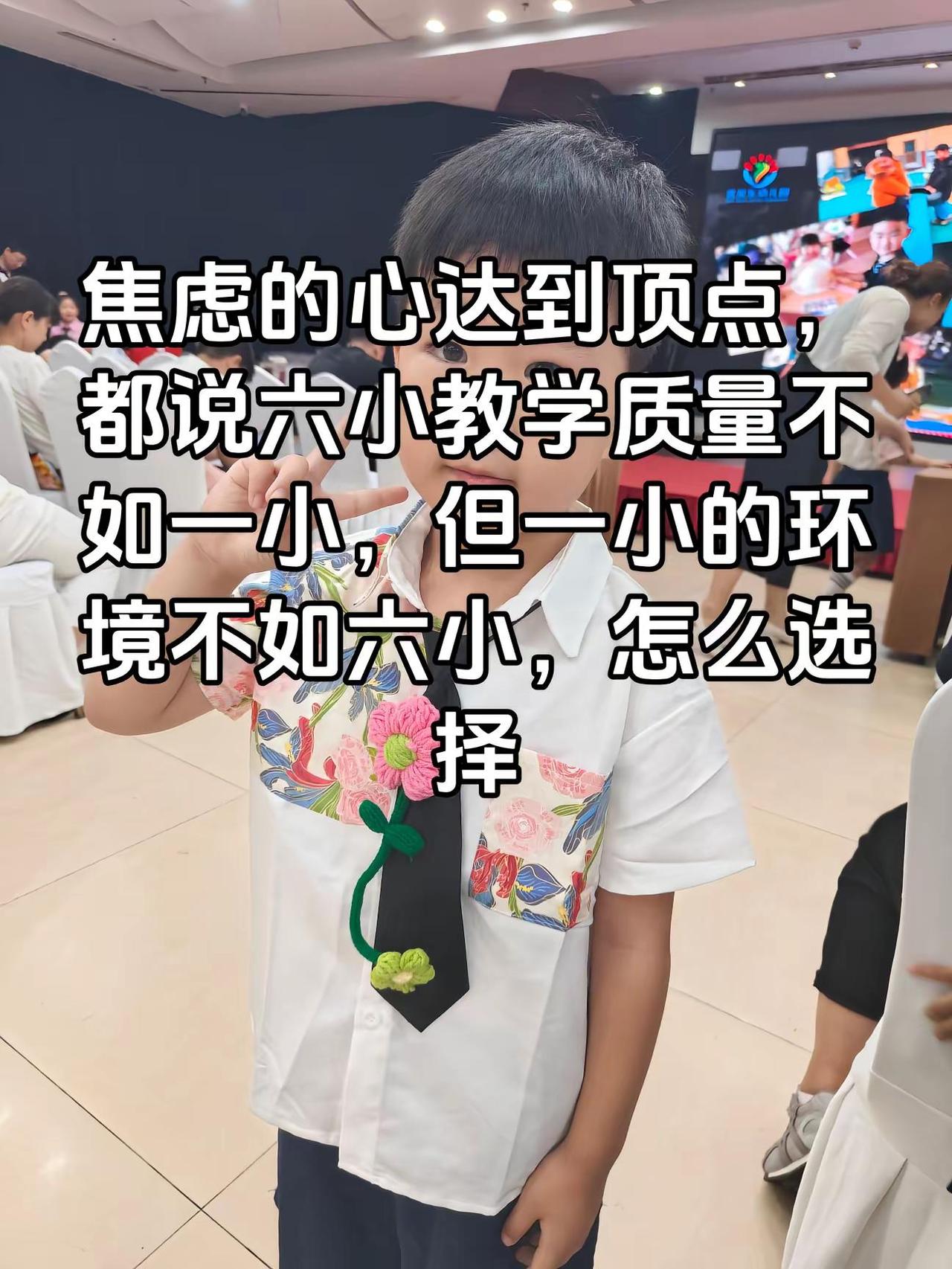 定兴老铁，给支支招，马上报名了，去哪个学校好，可不可以选择