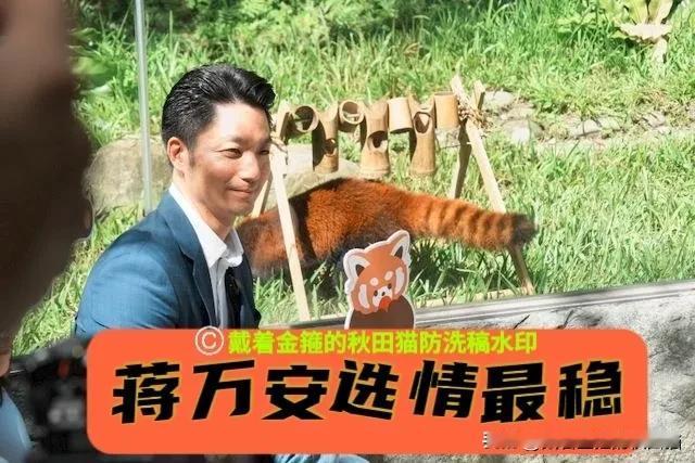 岛内22县市选举最终谁胜出？街访主持人预言：蓝13、绿8、白1，蒋万安最稳，这几