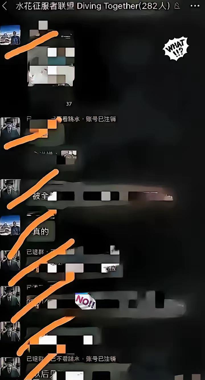 282人全部退群了！知道全红婵报警后，组织者立刻解散了微信群！整整四年啊！
​最