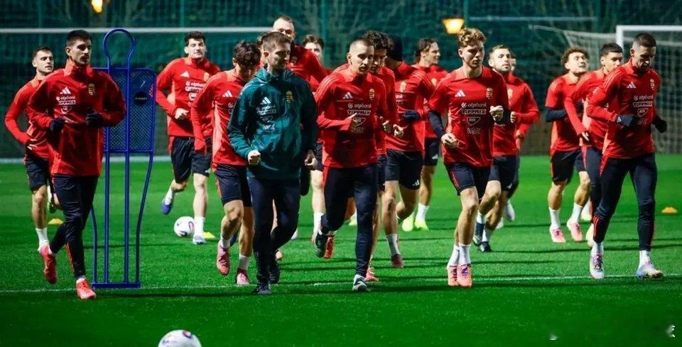 匈牙利足协官网消息，球队公布对阵爱尔兰的世预赛23人最终名单，本斯·奥特沃斯和阿