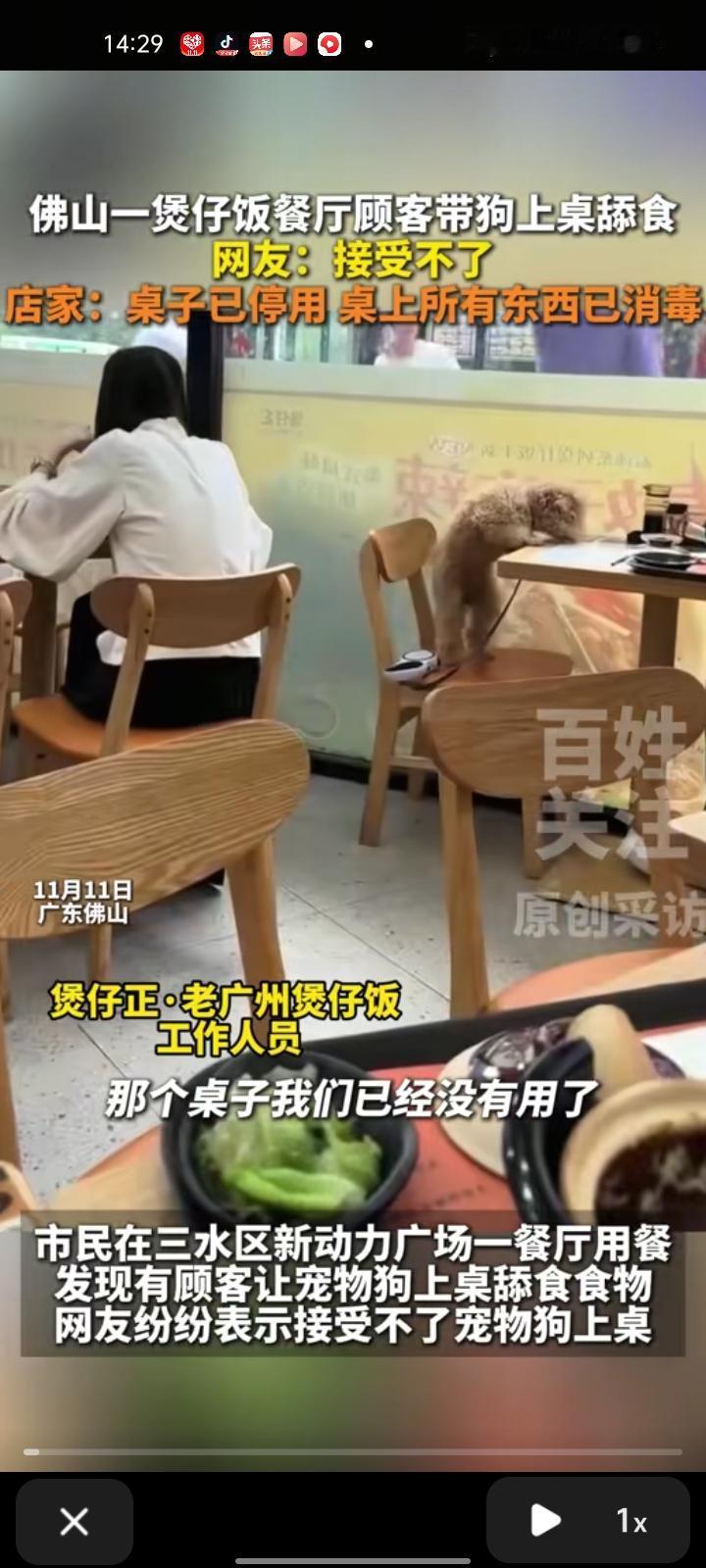 11月11日，广东佛山。有市民在餐厅用餐时，发现有顾客让宠物上桌舔食物，不少网友