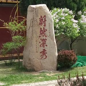 宁静致远的日子