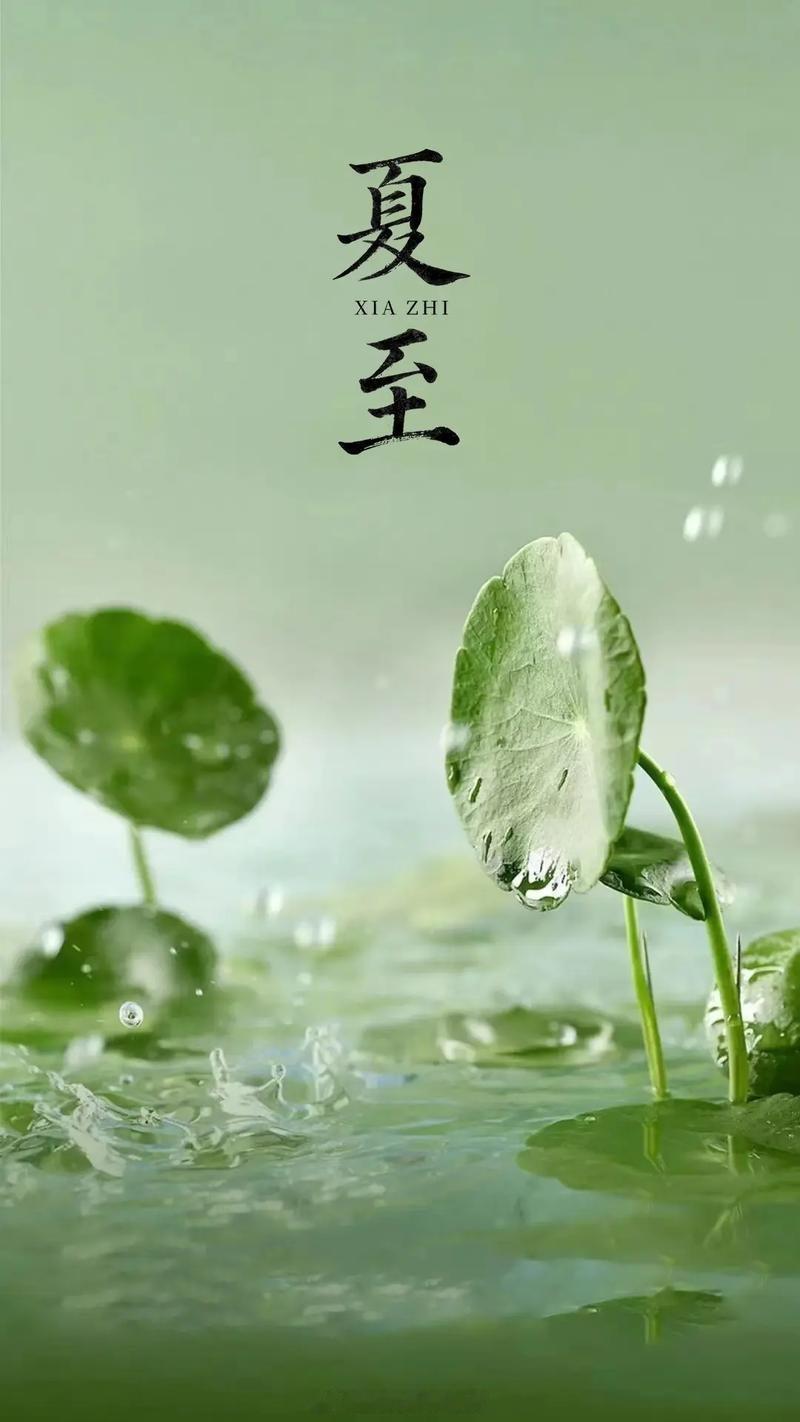 今日夏至，蝉蛙鸣，启盛夏。夏至已至，愿你的生活，满载明媚阳光，如盛夏般热烈，如夏