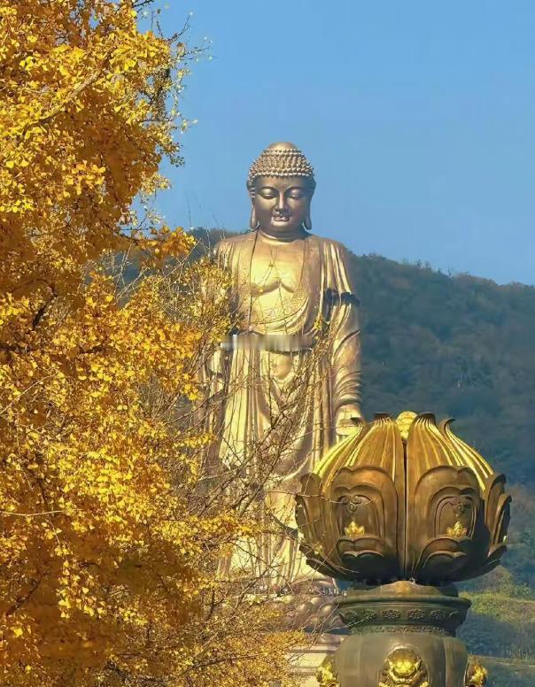 老一辈人说了，遇到灵山大佛如来，一定要许愿 