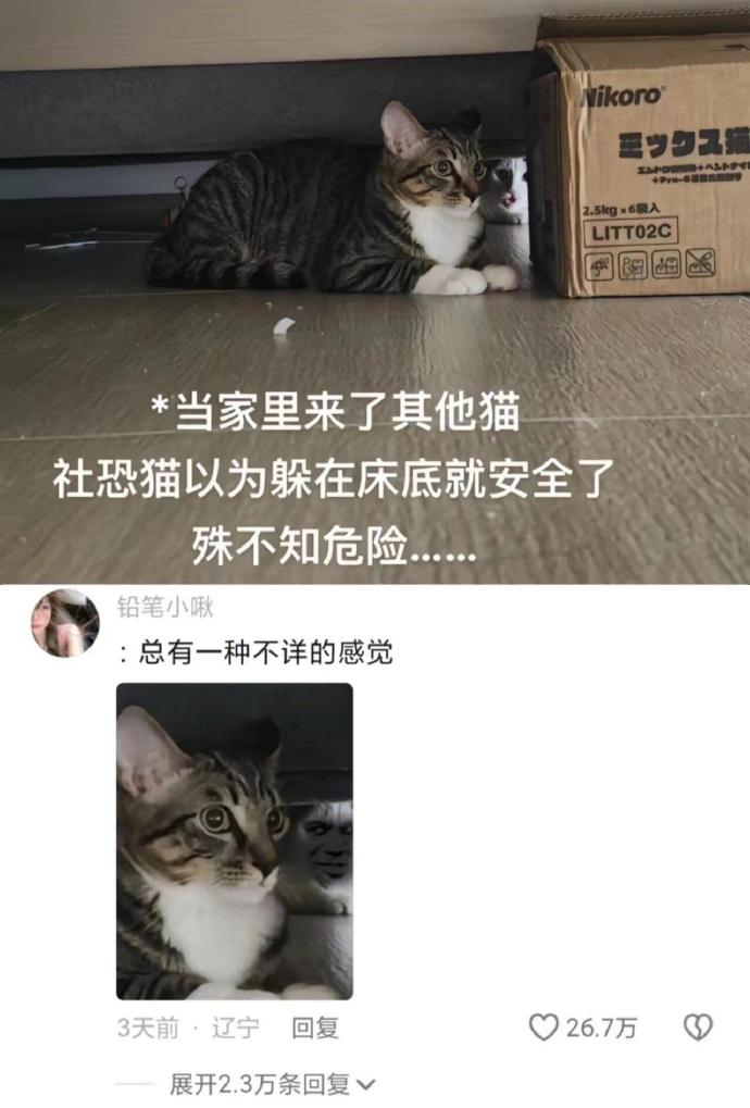 总有一种不祥的预感哈哈哈哈 ​​​