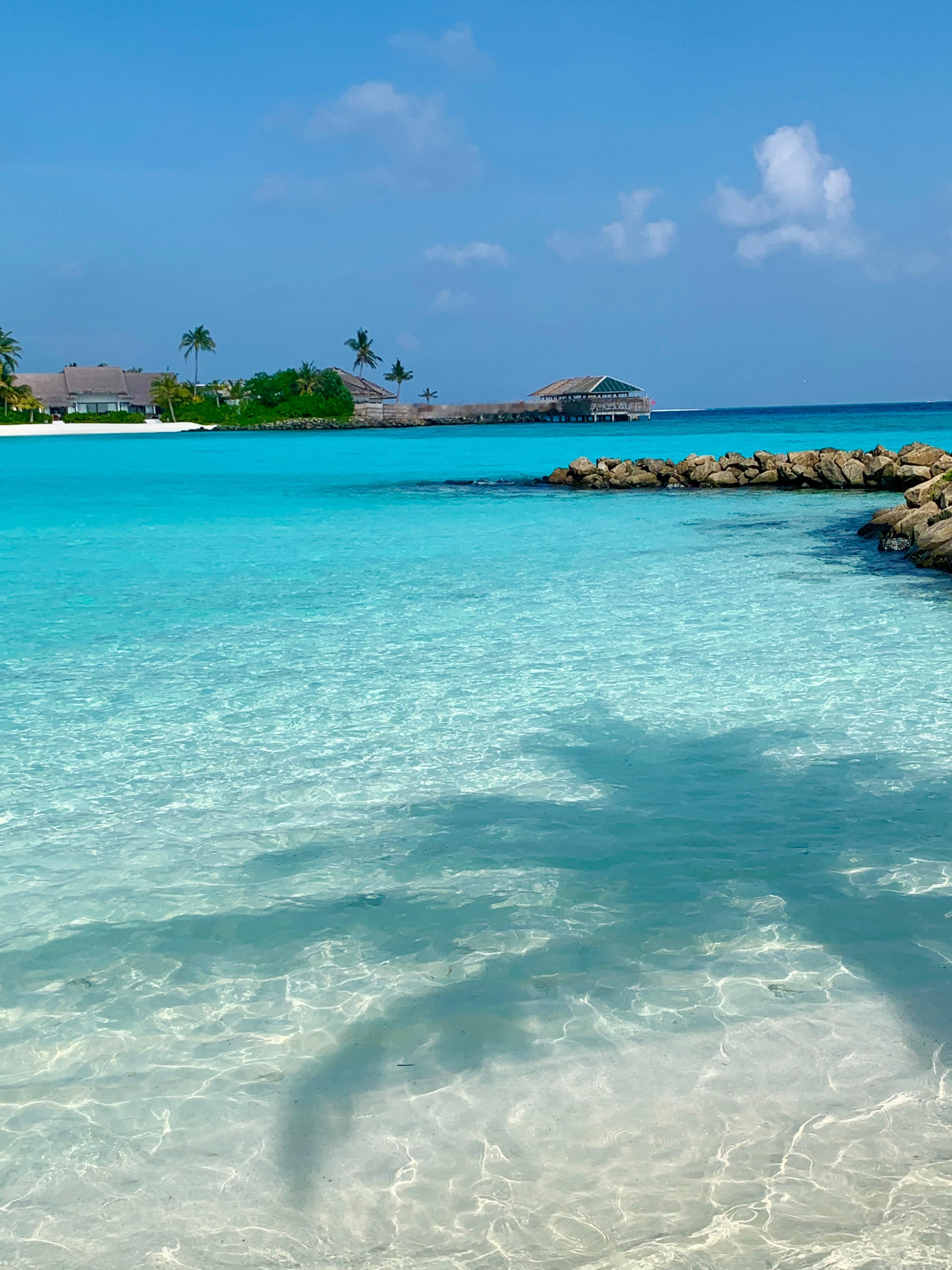 🏝️🪸 