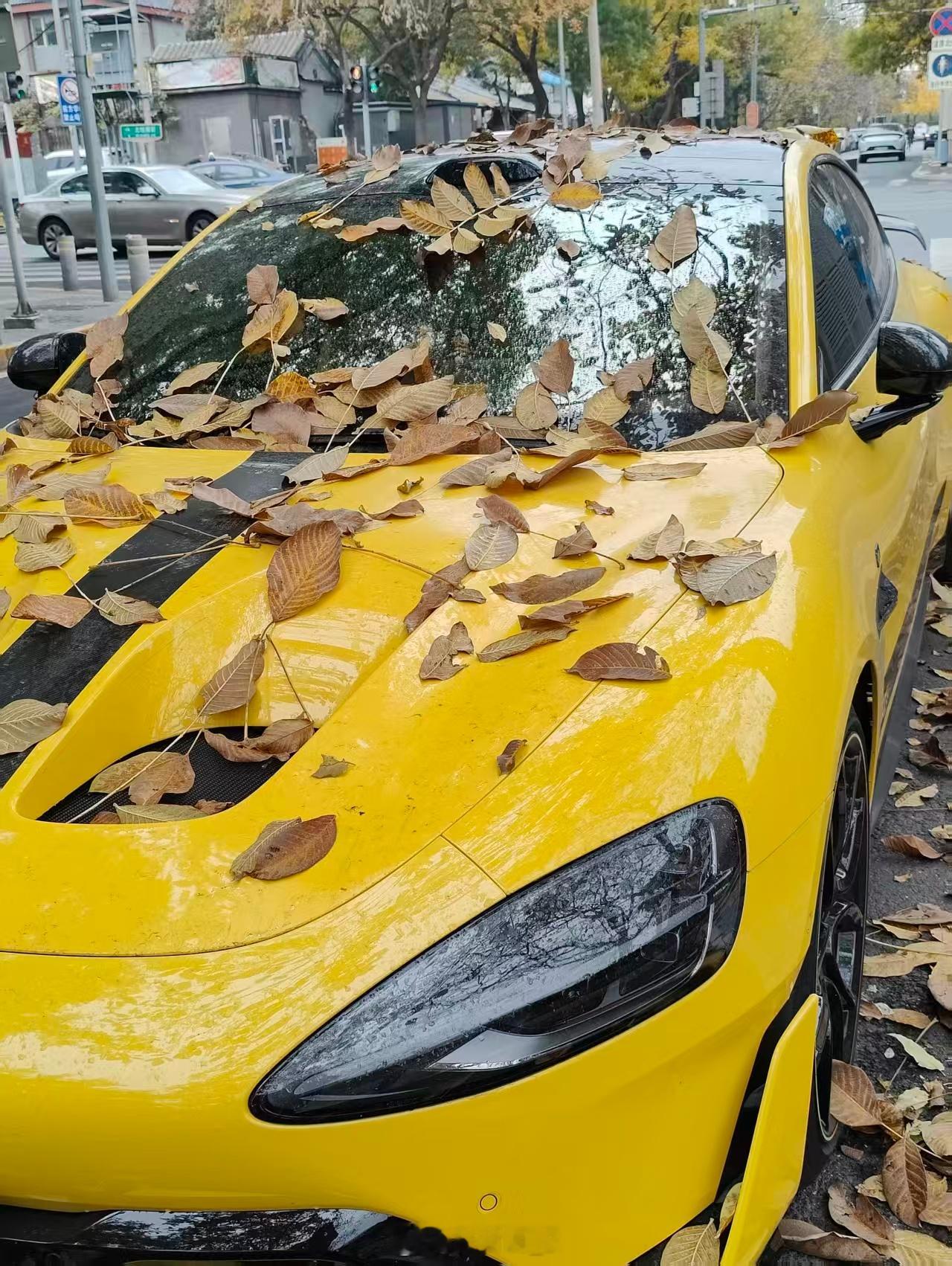 落叶之下，停在街边一台带通风前盖的SU7 Ultra ~~有点好看～  ​​​