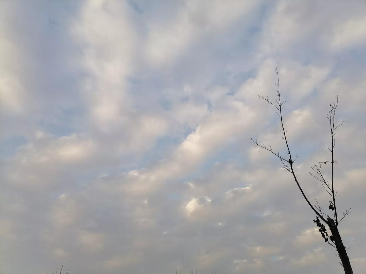 晒图笔记大赛不同模式