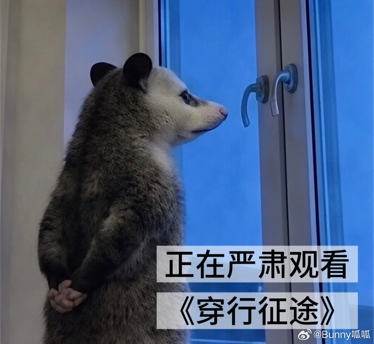 陈楚生也有摩托车情结歌手跨界参与机车摩旅，搭配数位顶尖职业赛车手，这样的硬核组合