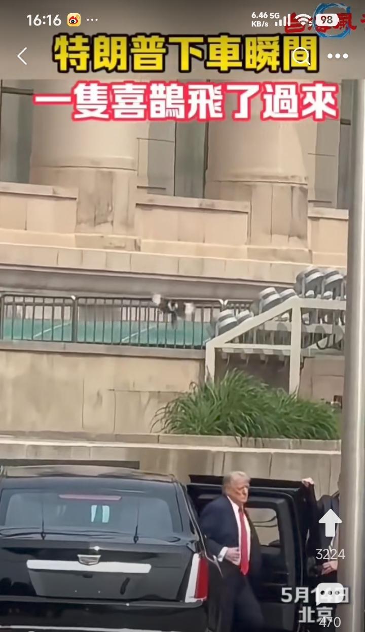 特朗普到达人民大会堂下车瞬间，一只喜鹊飞来。
应该预示好兆头。
中美两国合作共赢