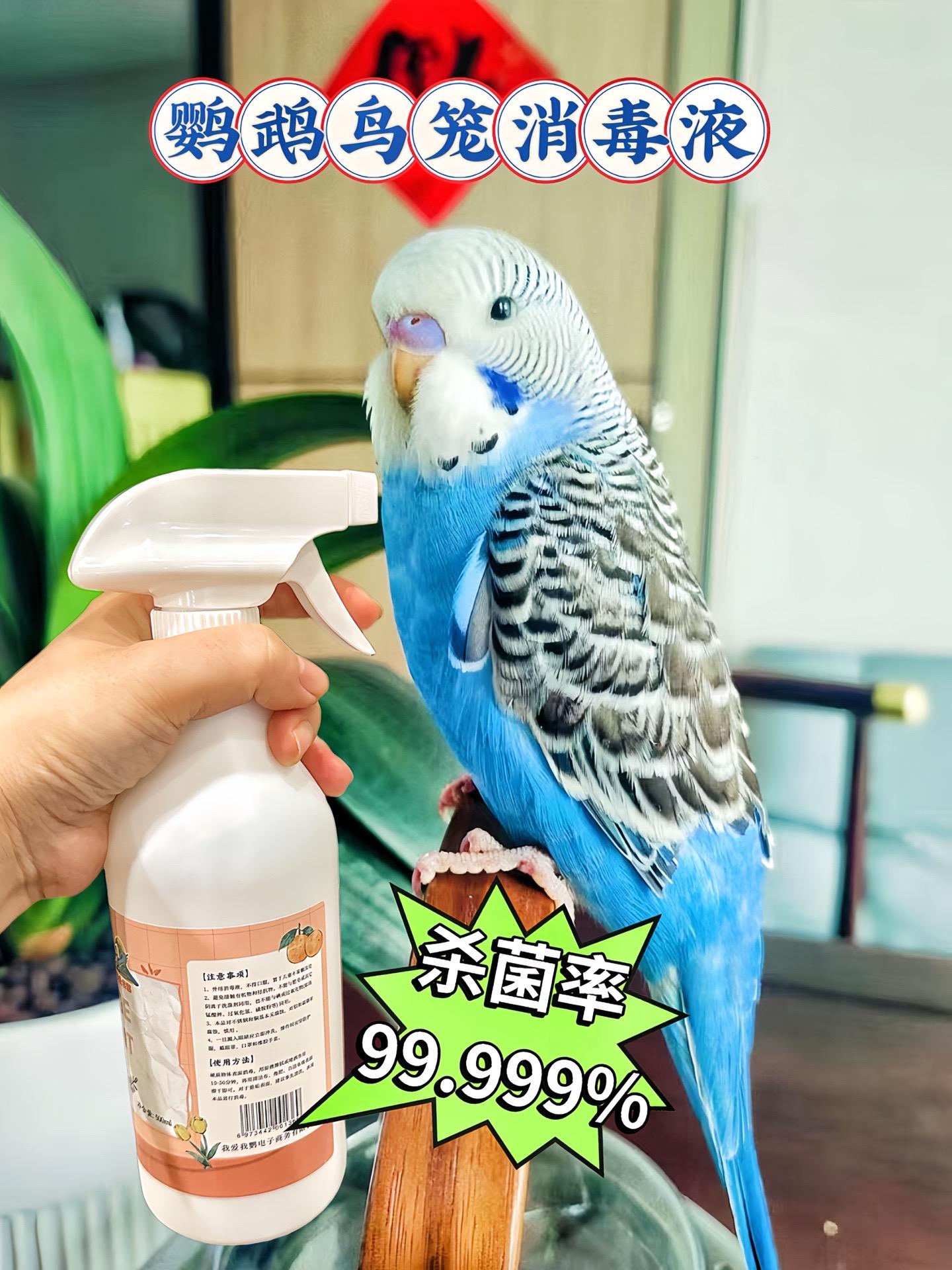 专为鹦鹉定制的消毒液，温和无刺激，喷一喷，快速消灭 99.9999%的...