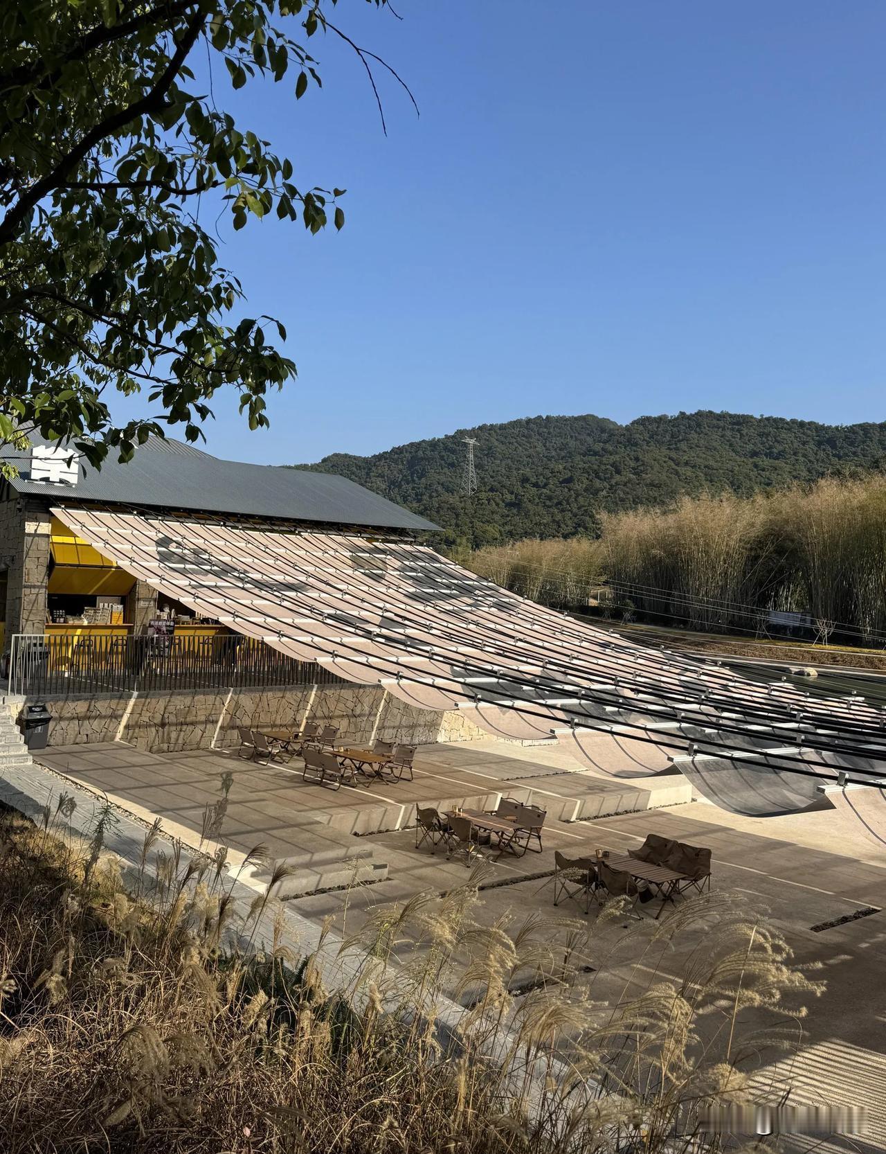 凌晨三点，我死死盯着手机屏幕，那句“我们还是保持距离吧”像根针一样扎进眼睛。
心