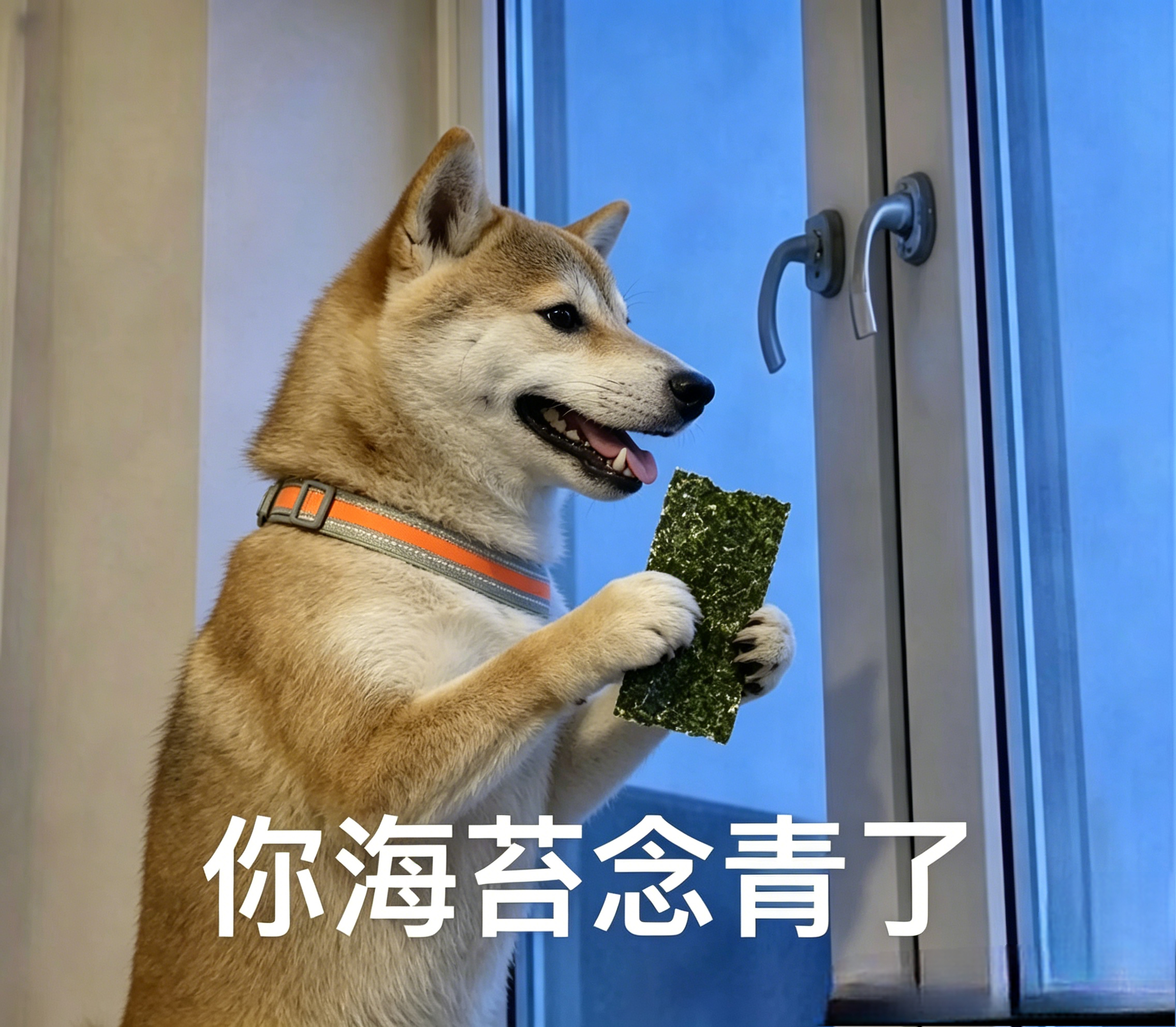 SpaceX大跌合理，没有合理的业绩作为支撑回归价值本身也是时间问题，没有利润也