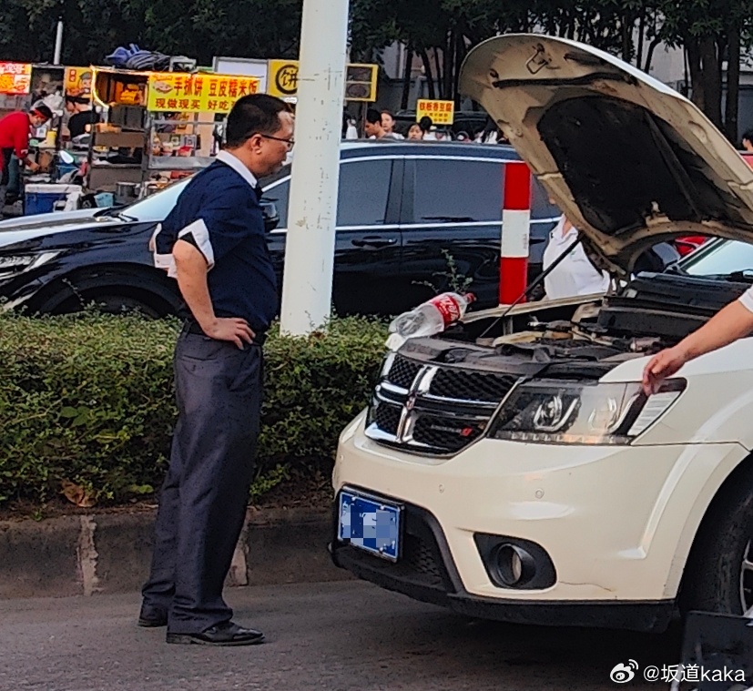 世界名画：《忧 郁 的 中 年 男 与 菲 亚 特 克 莱 斯 勒》#大v聊车#