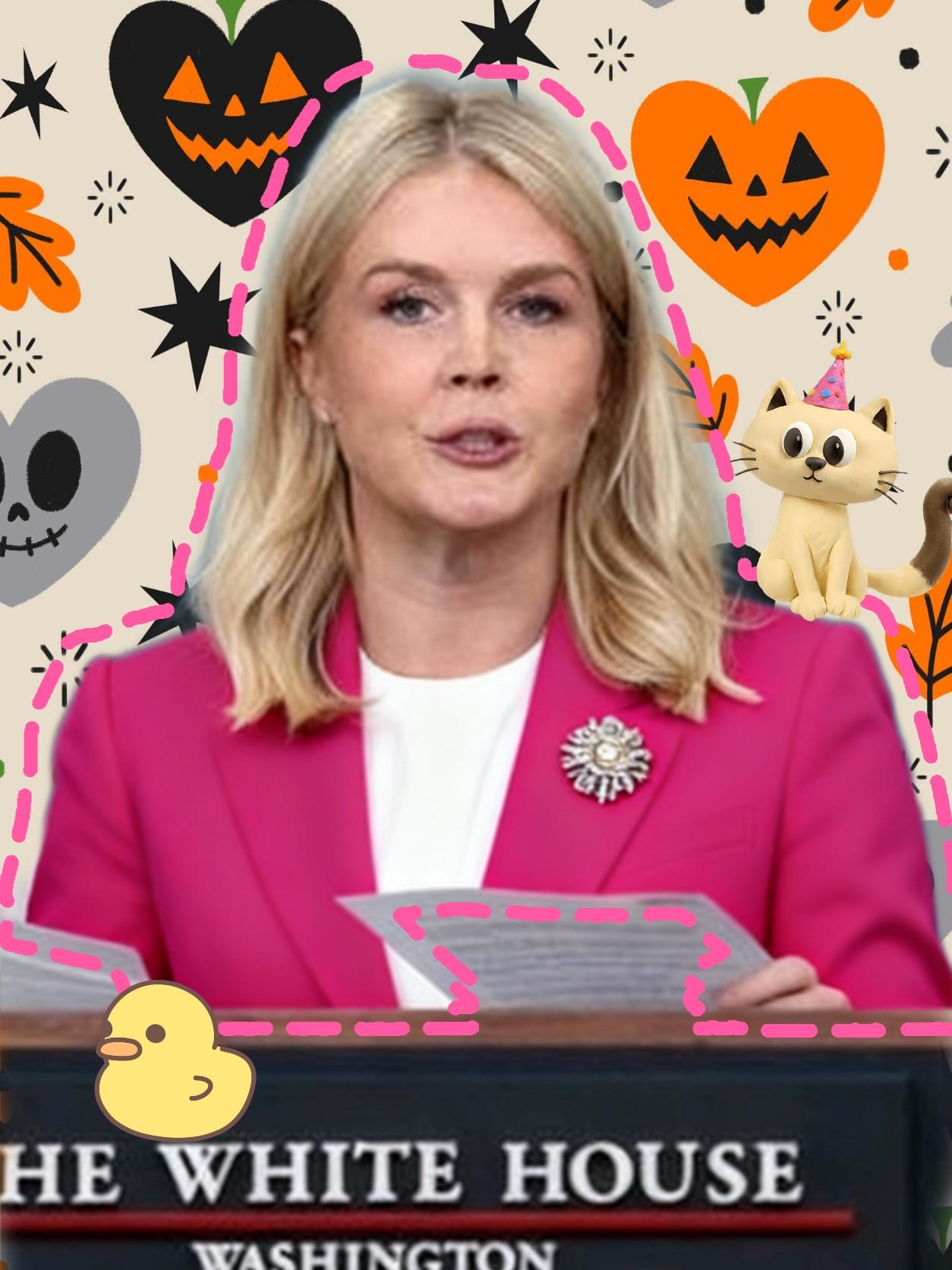 快 讯！快 讯！

白宫最新消息！

！！！

据11月24日白   宫发布的消